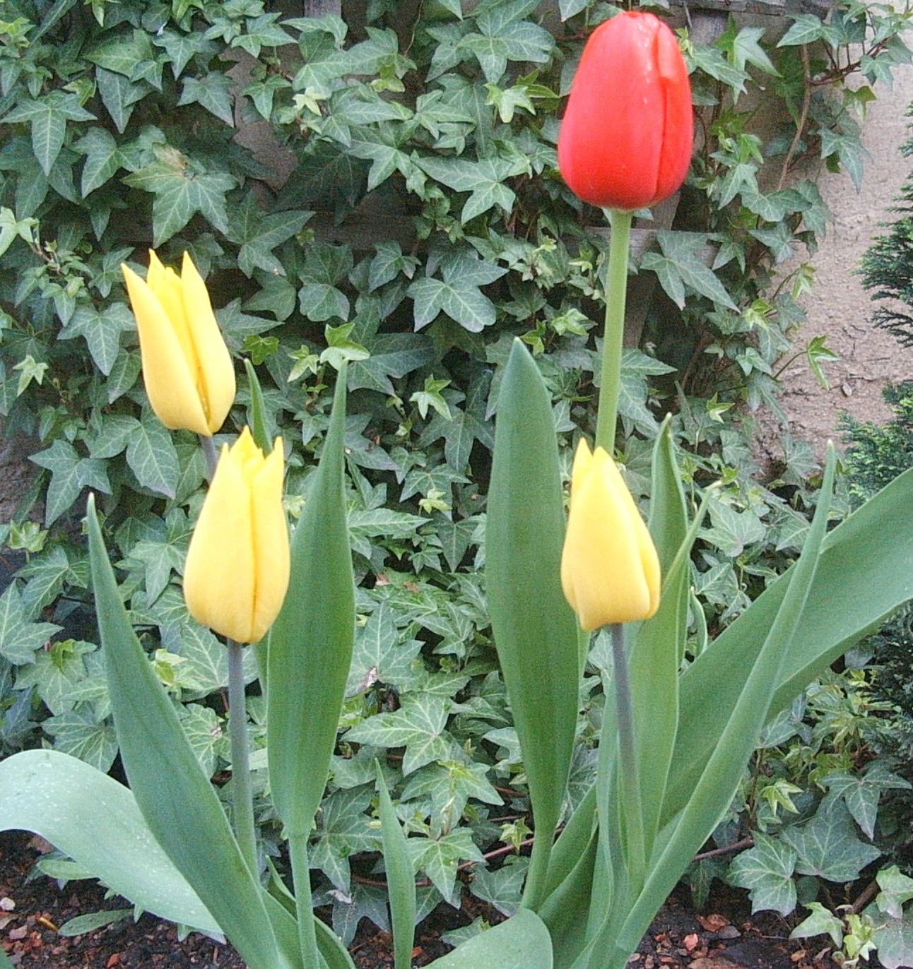 Garten-Design-Blog.de