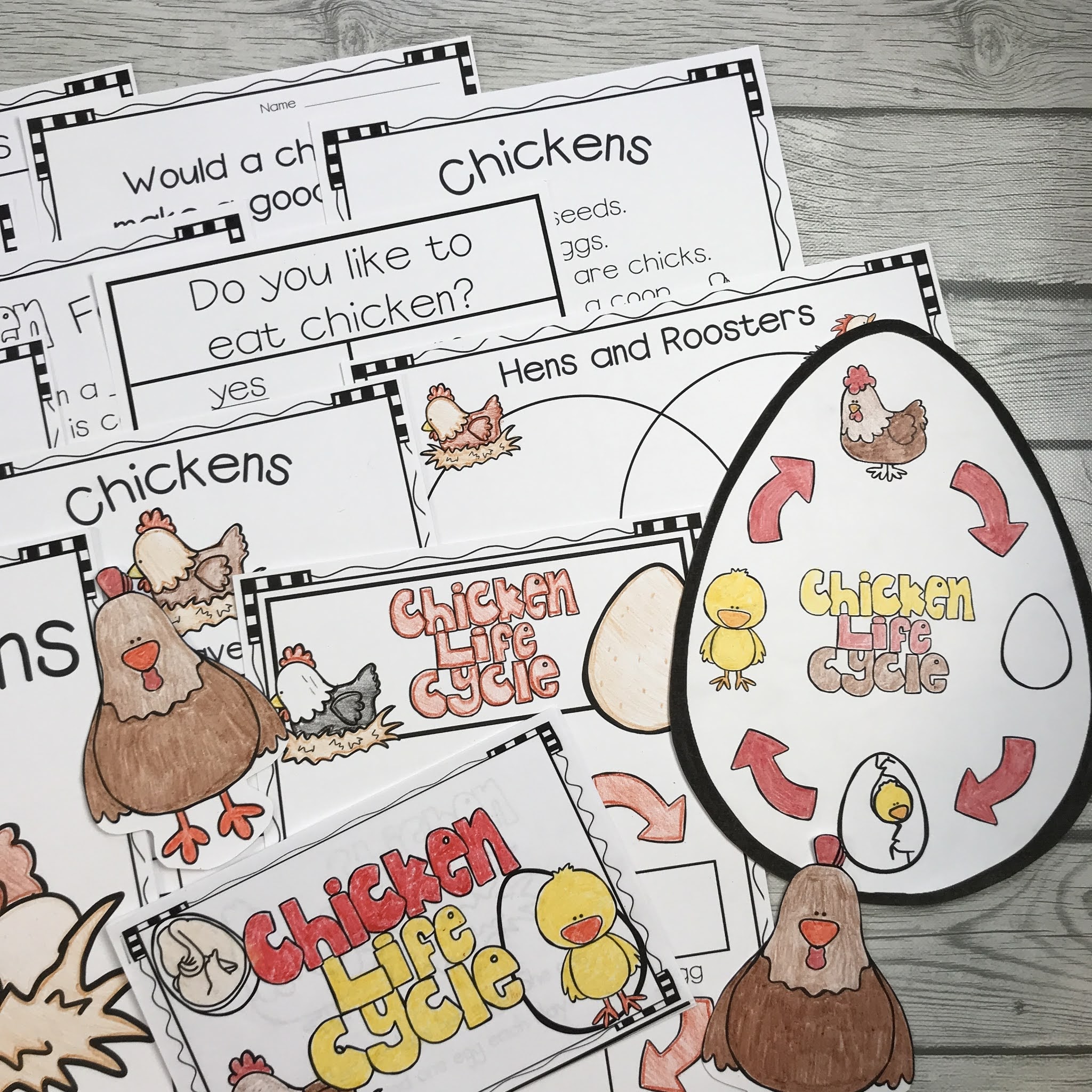 Life Cycle of a Chicken Activities Mrs. McGinnis' Little Zizzers