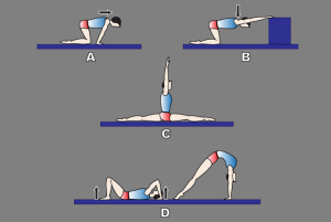cosas dinamicas: rollos adelante-atras y parada invertida en tres ...
