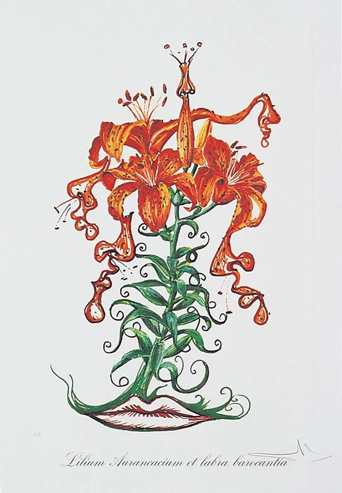 Salvador-Dali-Lilium-Aurancacium