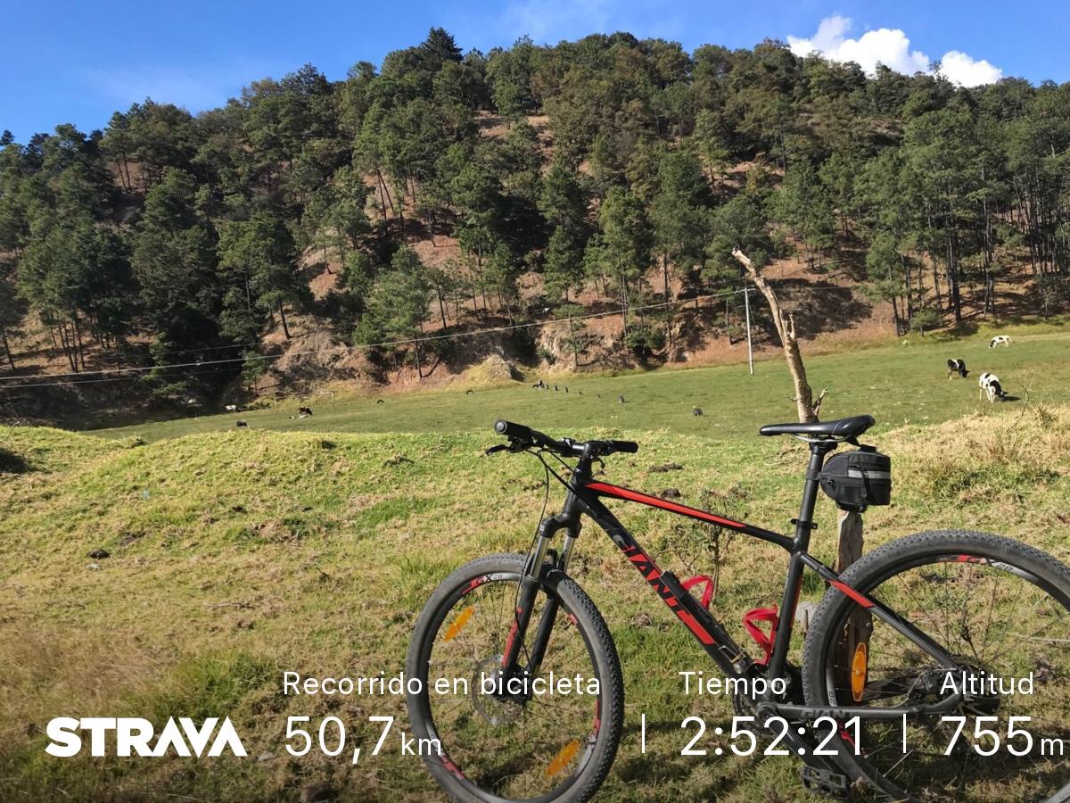 Bicicletas En Xela 2025