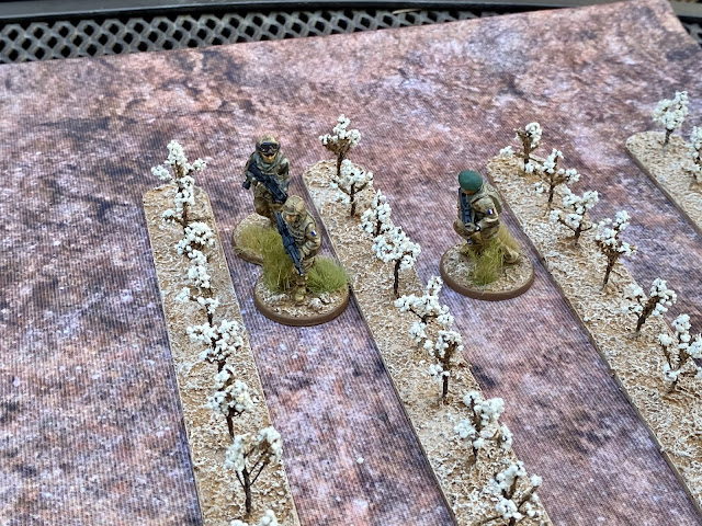 Spectre Operations 28mm miniatures game: French Foreign Legion rescues reporters being held hostage by Islamist insurgents
