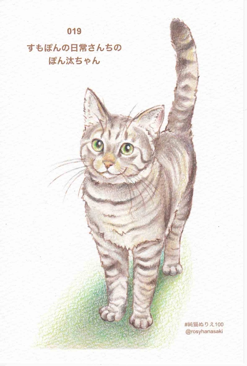 ロージーの猫ぬりえ No 19 ぽん汰ちゃん茶系彩色完成 暫定