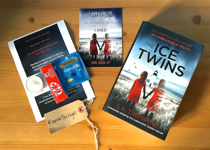 Morgan's Milieu | The Ice Twins: A Book Review - A page turner and a very chilling tale.