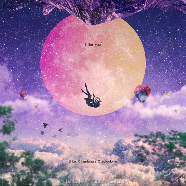 MIC SWG – MIC SWG CEO I like you – Single