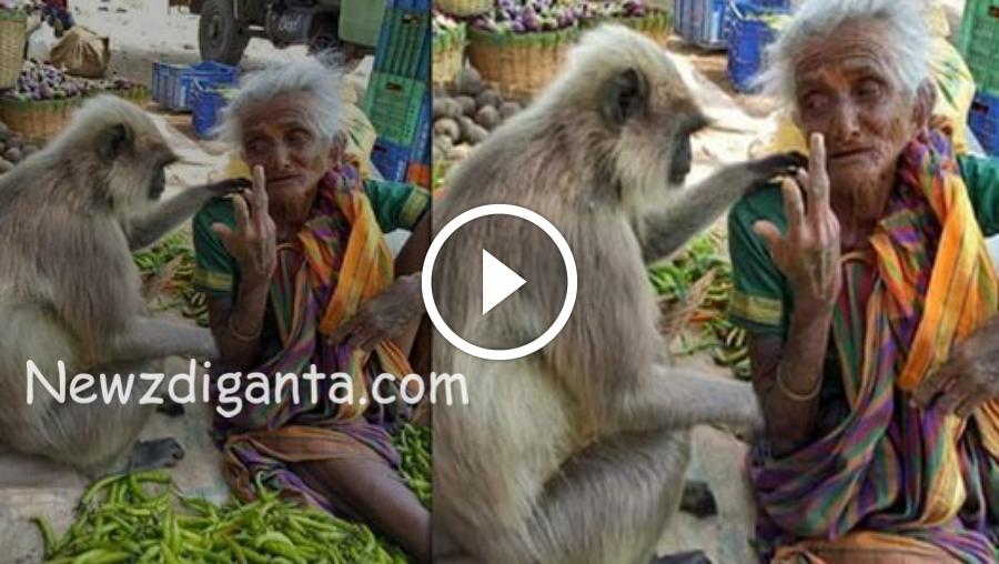 பாட்டிக்கு ஆறுதல் சொன்ன குரங்கு …ஒரே நாளில் அத்தனை பேரையும் உலுக்கி எடுத்த படம்! பாட்டிக்கு ஆறுதல் சொன்ன குரங்கு …ஒரே நாளில் அத்தனை பேரையும் உலுக்கி எடுத்த படம்!