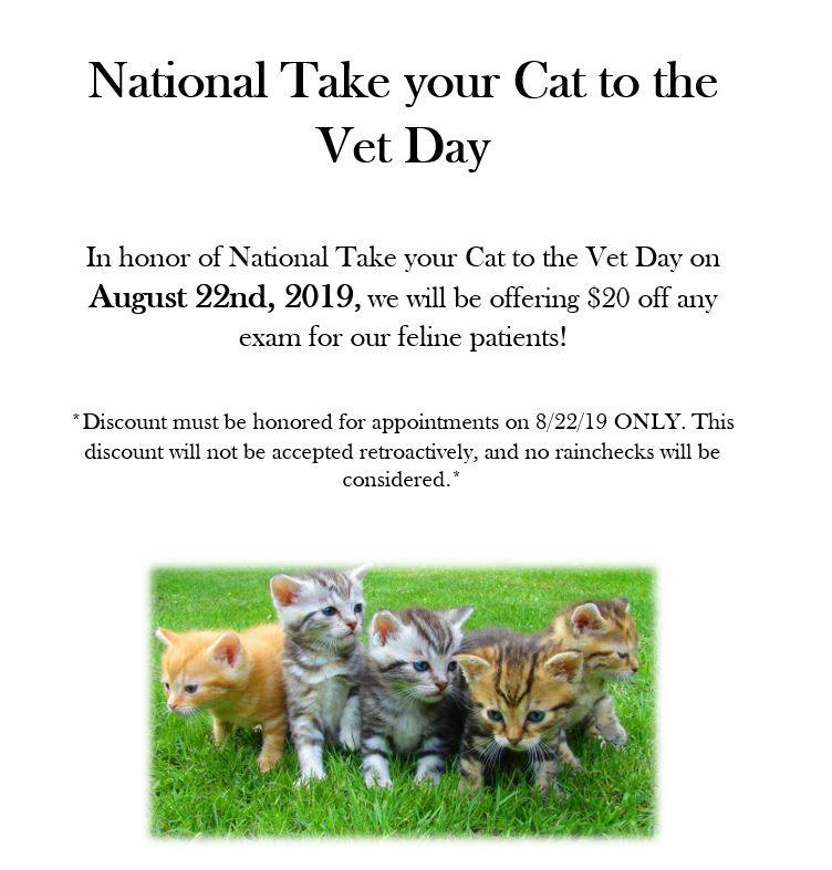 National Take Your Cat to the Vet Day