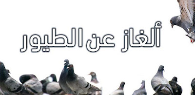 ألغاز عن الطيور