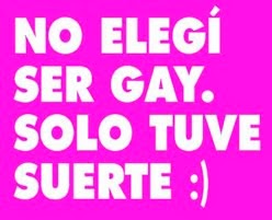 NO ELEGI SER GAY