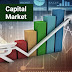 What is Capital Market Stock Market