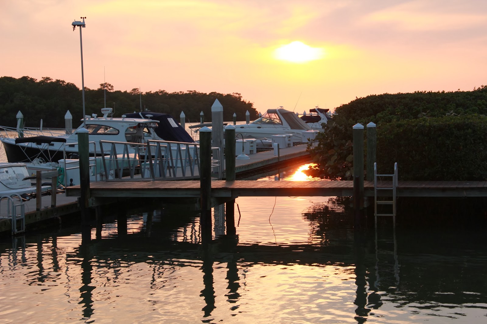 Southwest Daily Images Sunset at Cocohatchee River Park