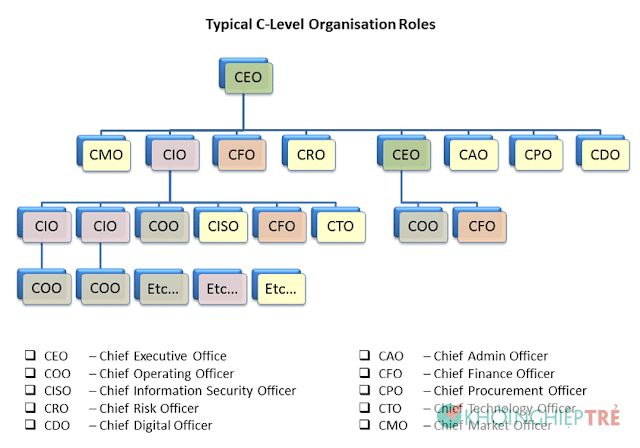 CCO, CEO, CFO, CMO, CPO, CHRO là gì thế? Vai trò & quyền hạn thế nào?
