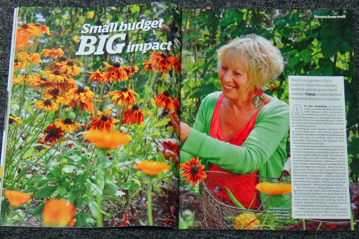 英国ガーデニング事情 イギリスの雑誌やtv番組から 少しの予算で大きな効果 夏の花壇の花の種まき