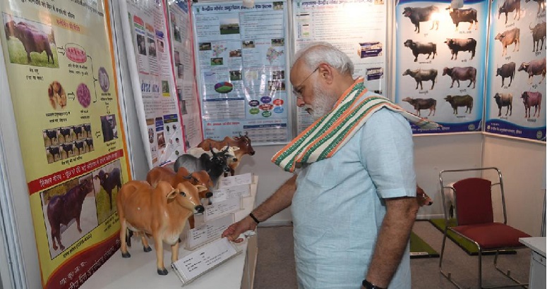 India PM Modi to launch National Animal Disease Control Programme Kheudt Help