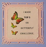 The Butterfly Challenge