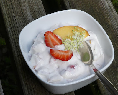 Joghurt mit Erdbeere und Nektarine