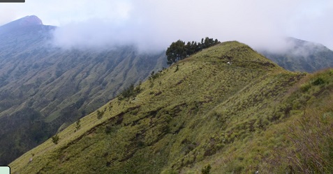 Wisata Gunung Rinjani Lombok NTB