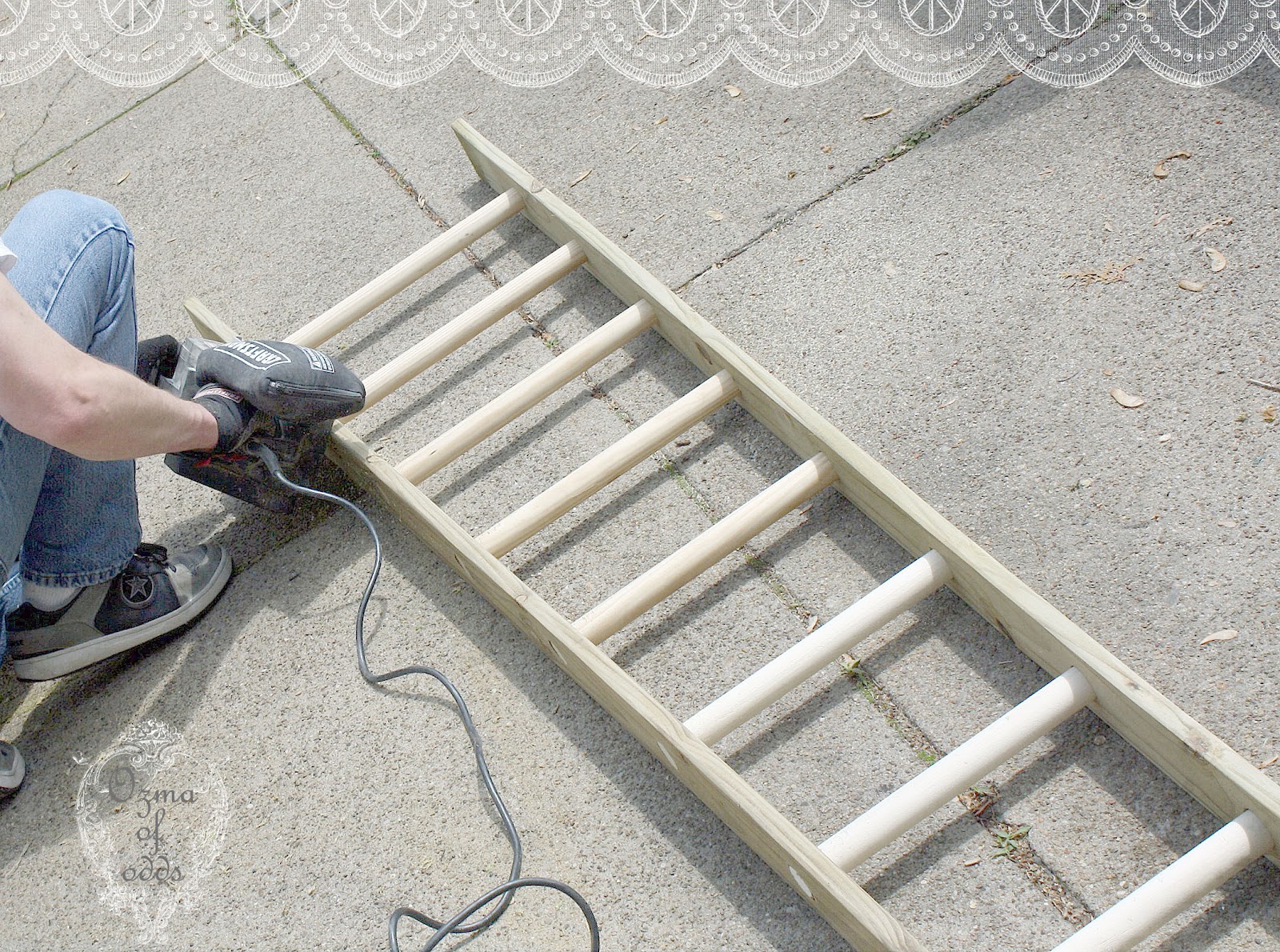 ozma of oddsdiy orchard ladder