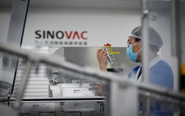 MUI: Vaksin Sinovac Halal, Aman Digunakan Umat Islam
