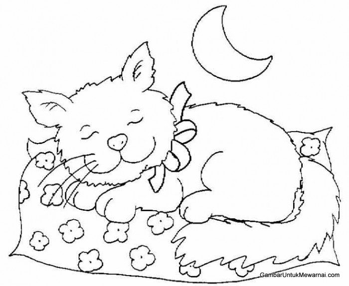 Mewarnai Gambar Kucing Hitam Putih - Gambar Untuk Mewarnai.Com