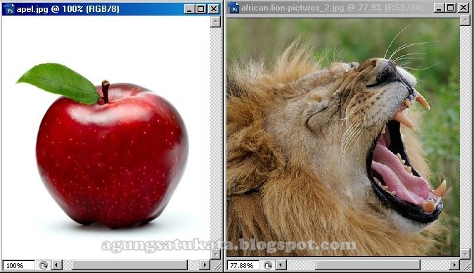 Efek Manipulasi Singa Apel Agungsatukata Memang Betul Butuh 2 Gambar