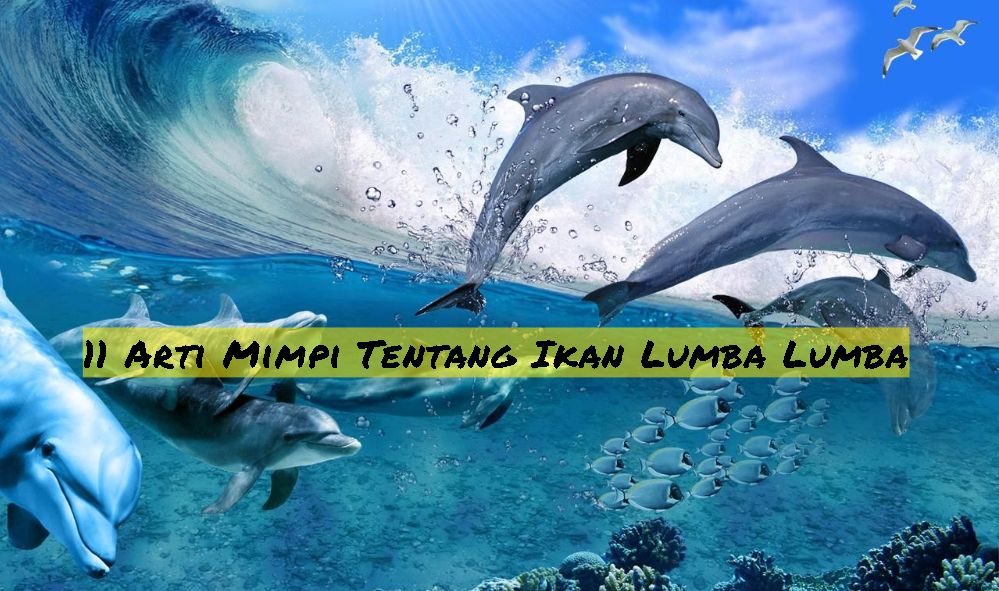 11 Arti Mimpi Tentang Ikan Lumba Lumba