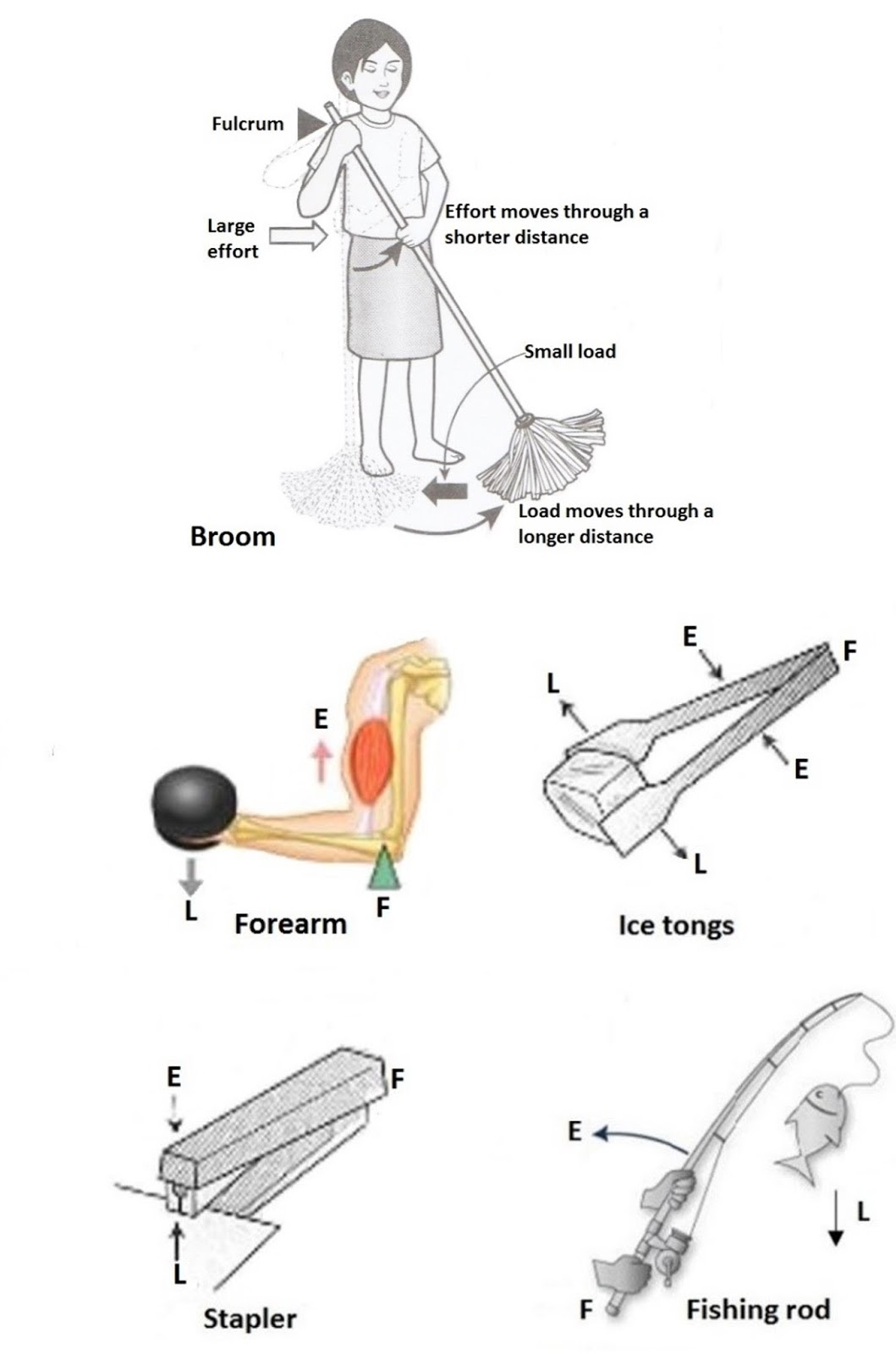 Wonders of Science CHAPTER 10 SIMPLE MACHINE