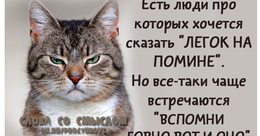 Поиск все таки