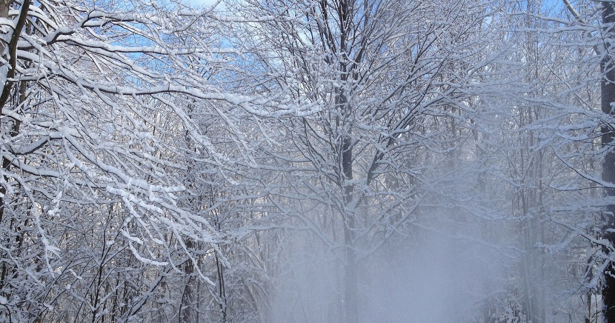 Galionite Galion Weekend Weather Update for January 12 Through January 14