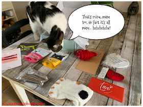What's In The Box ©BionicBasil® Gus & Bella Take Meowt Valentine's Box - Melvyn claims it all