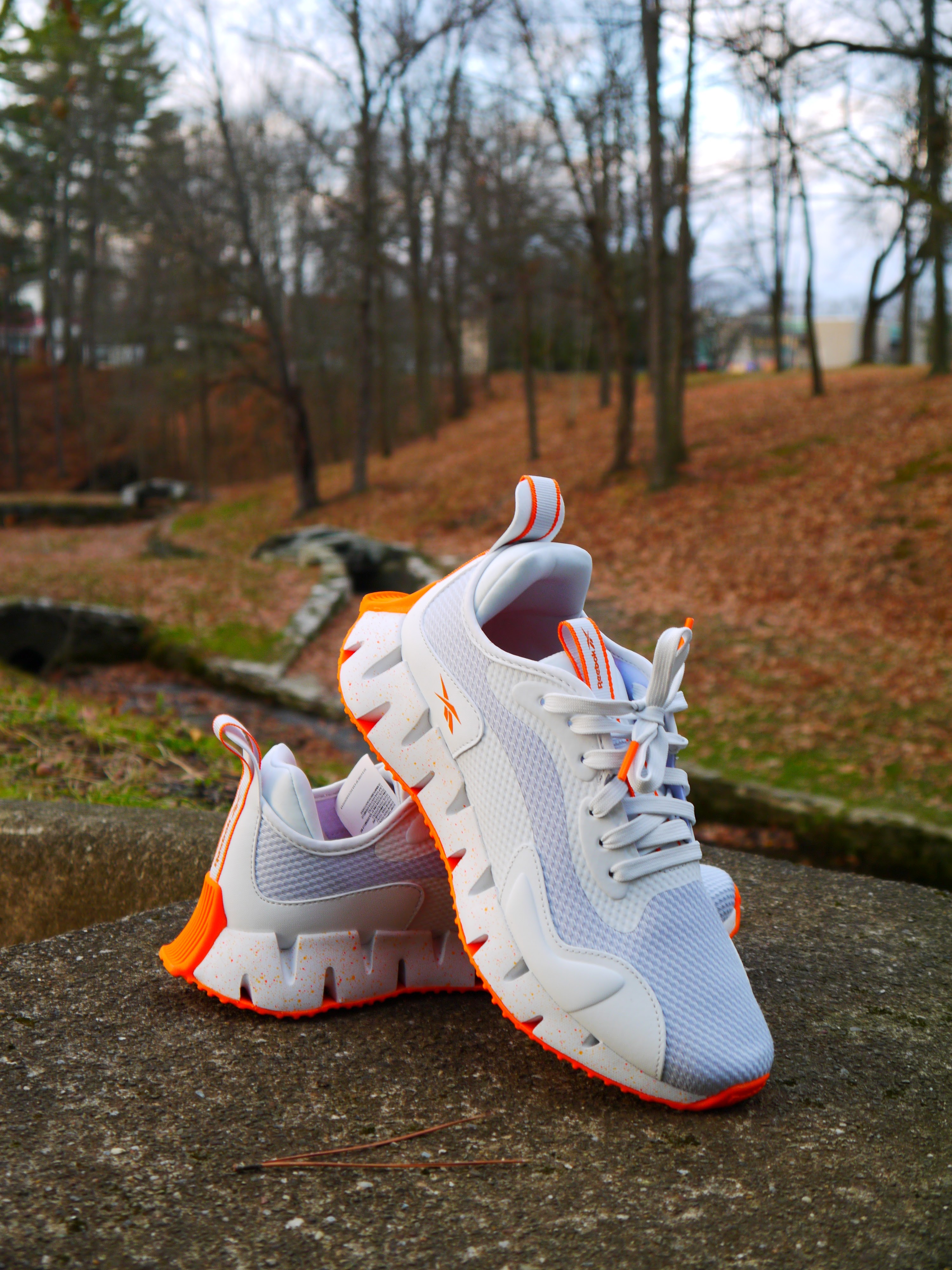 shoe carnival reebok