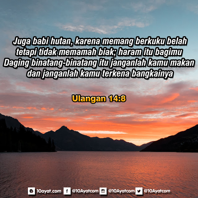 Ulangan%2B14 8