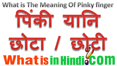 What is the meaning of Pinky in Hindi