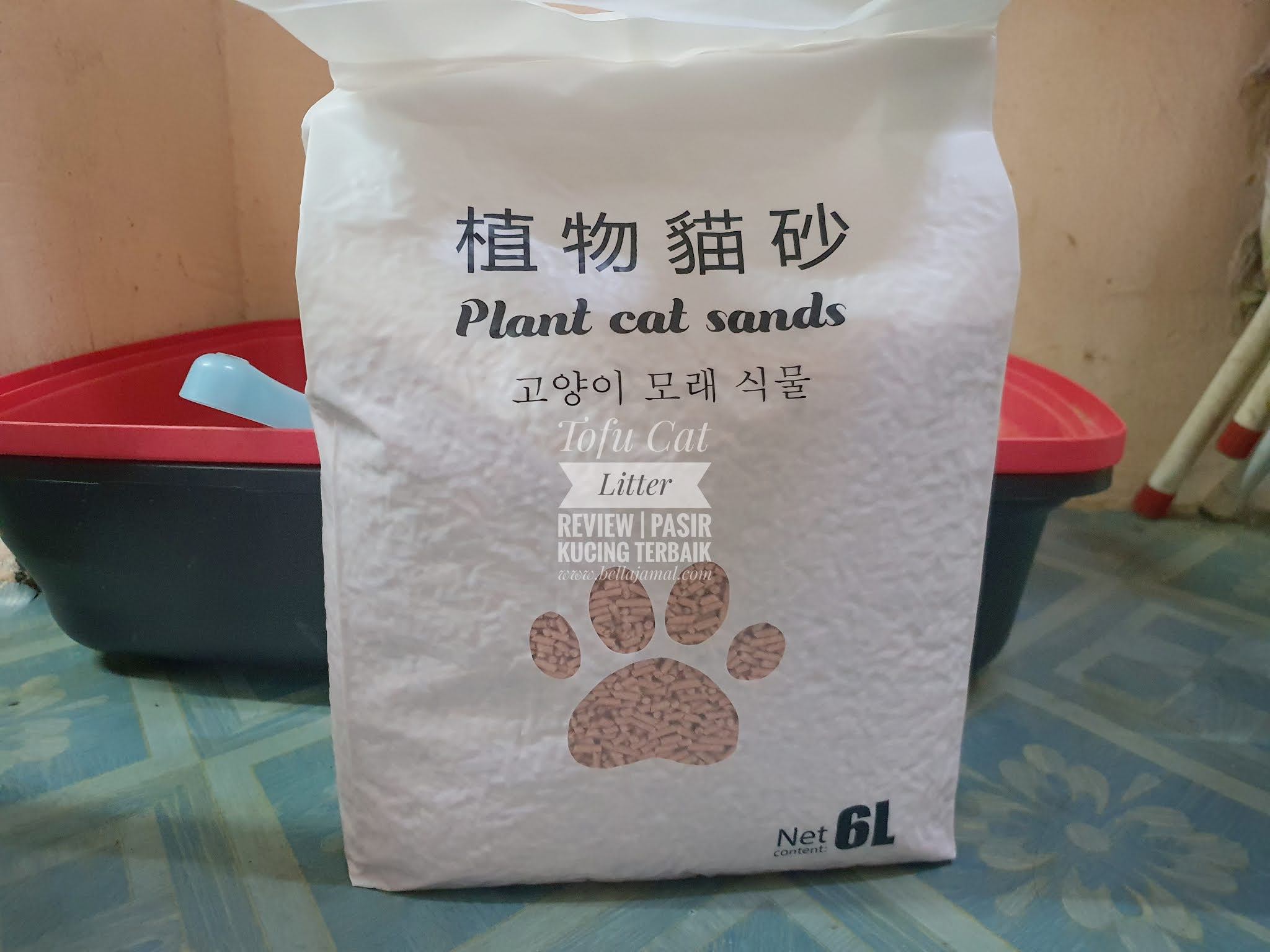 Pasir, Cat Litter Jenis Apa Yang Terbaik Untuk Kucing?