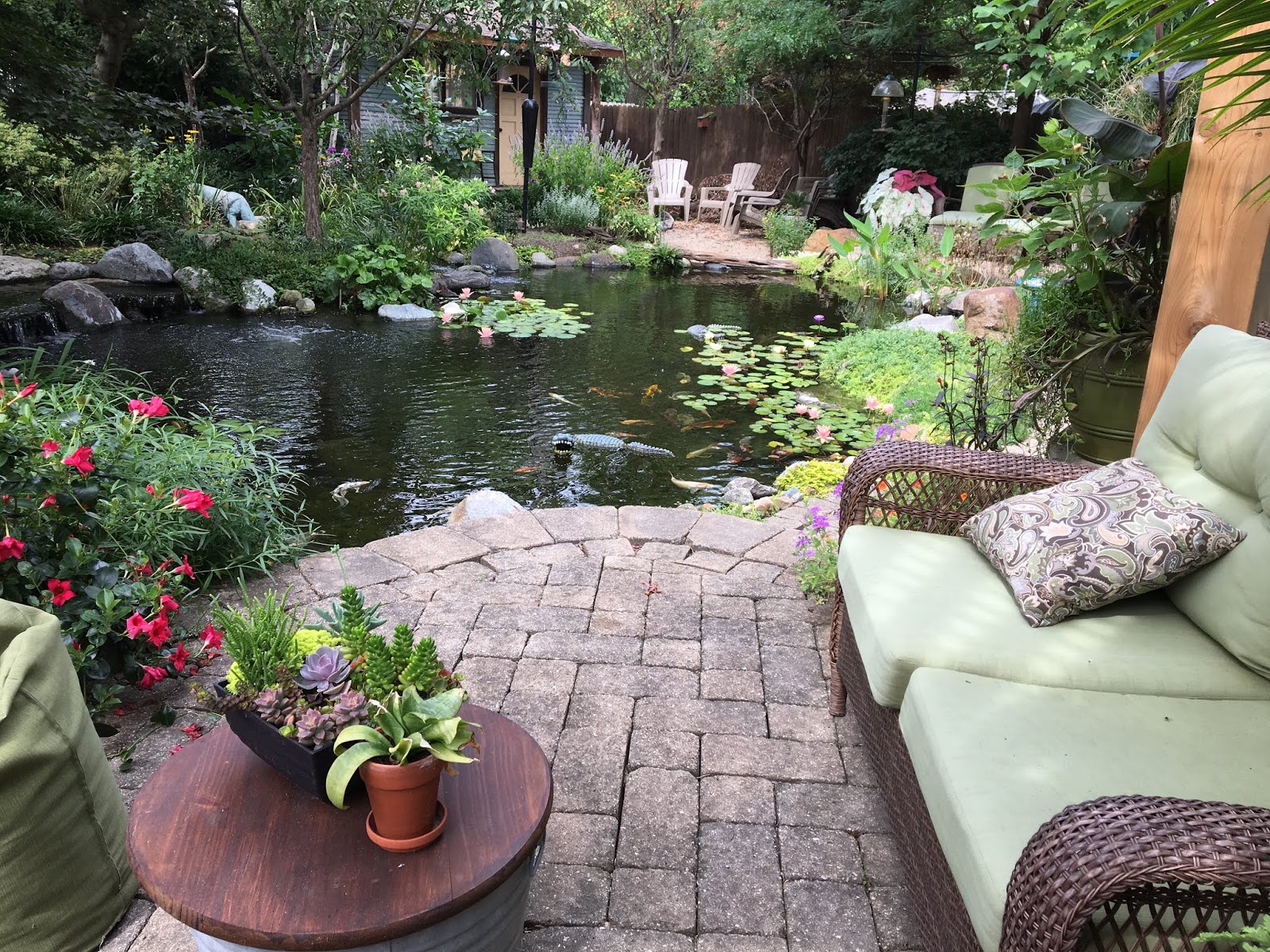 The Cool Ponds' Difference