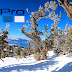 Tree Skiing Lake Tahoe GoPro Hero 9