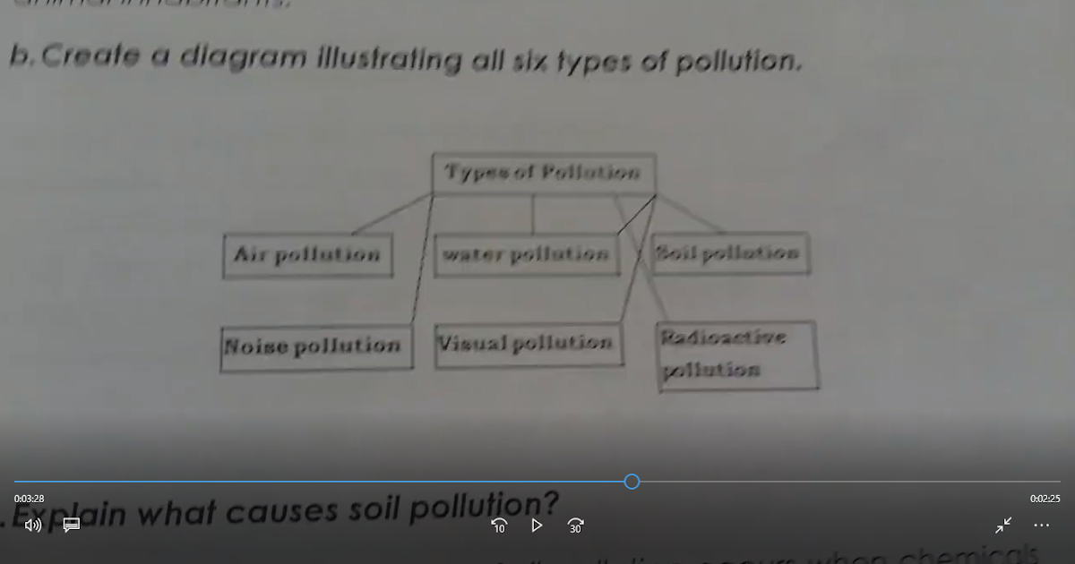 What is a dissertation image