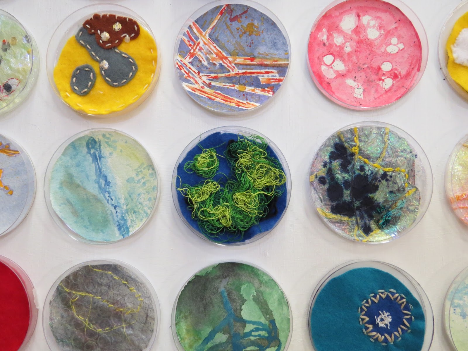 Beaudesert Art Year 8 Petri Dish Project