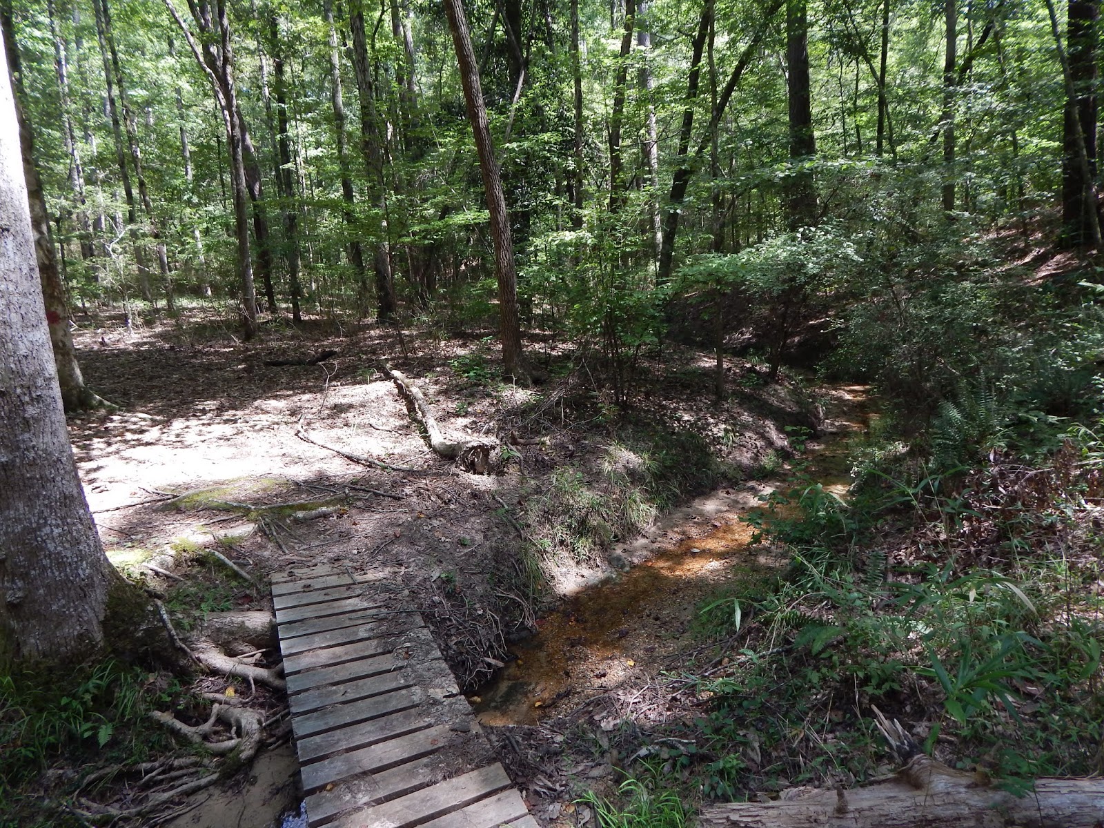 Central Louisiana Birding & Wildlife Sicily Island Hills WMA and Fort Beauregard Historical