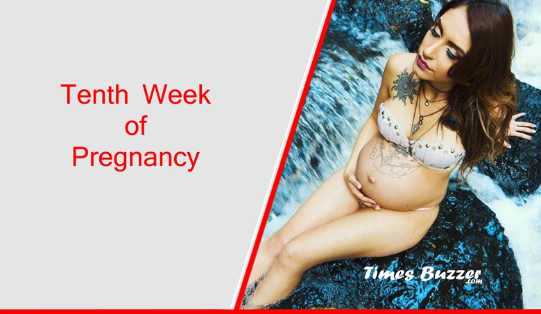 Tenth Week of Pregnancy
