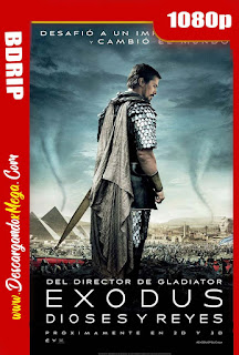 Éxodo Dioses y Reyes (2014) BDRip 1080p Latino-Ingles