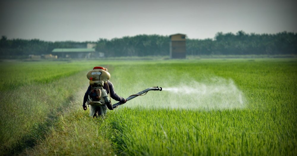 Ban 13 pesticides, phase out 6 by 2020, suggests Verma panel