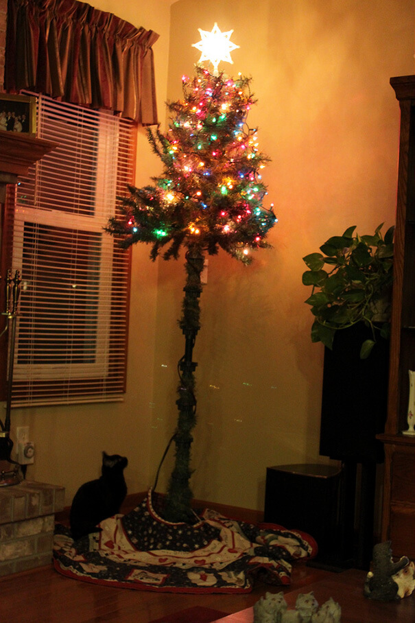 These Geniuses Found A Way To Protect Their Christmas Trees From Their Cats And Dogs These Geniuses Found A Way To Protect Their Christmas Trees From Their Cats And Dogs