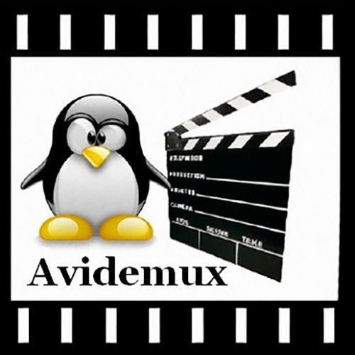 Avidemux is a free software video editor