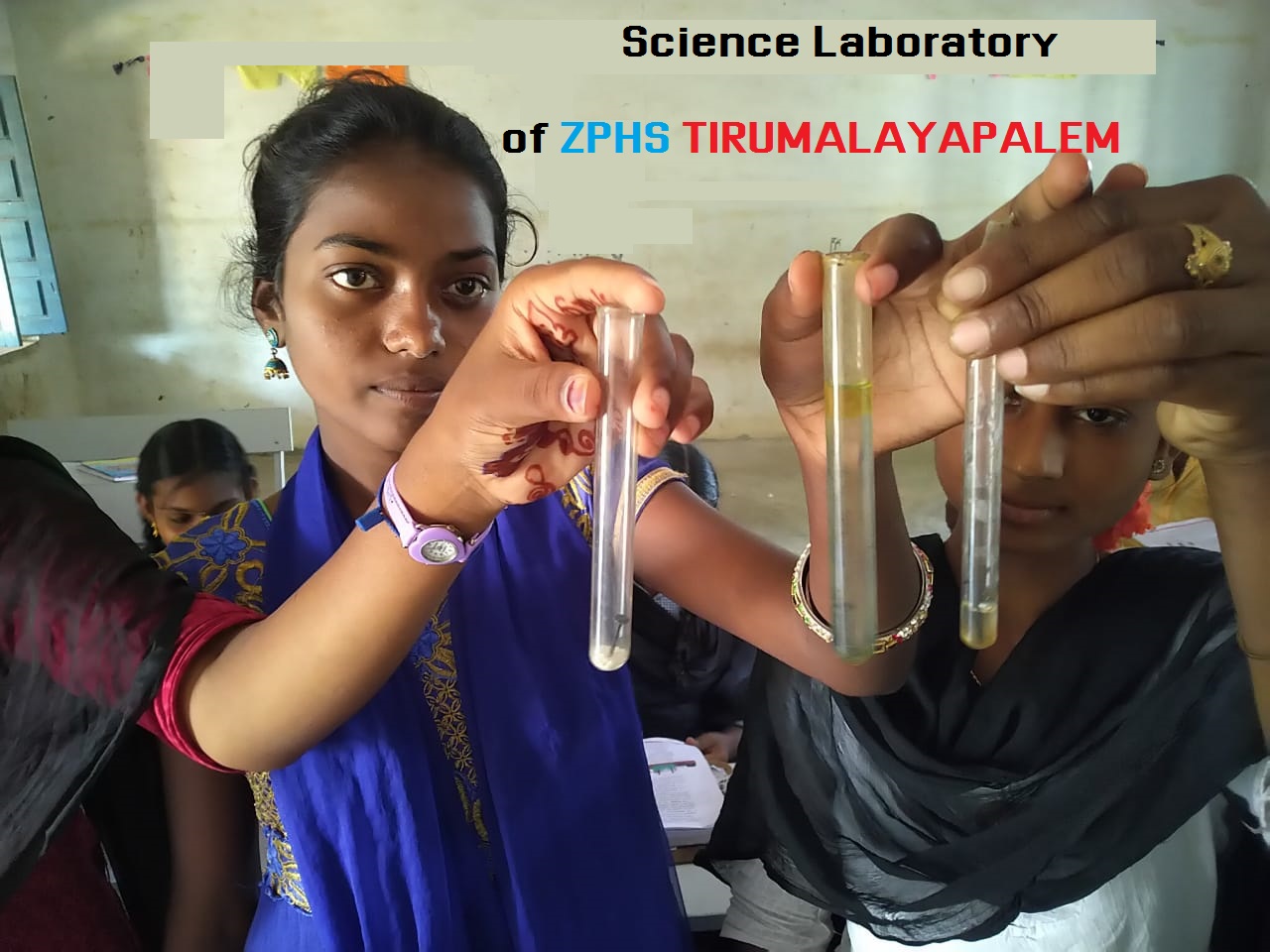 Our Science Laboratory Activity