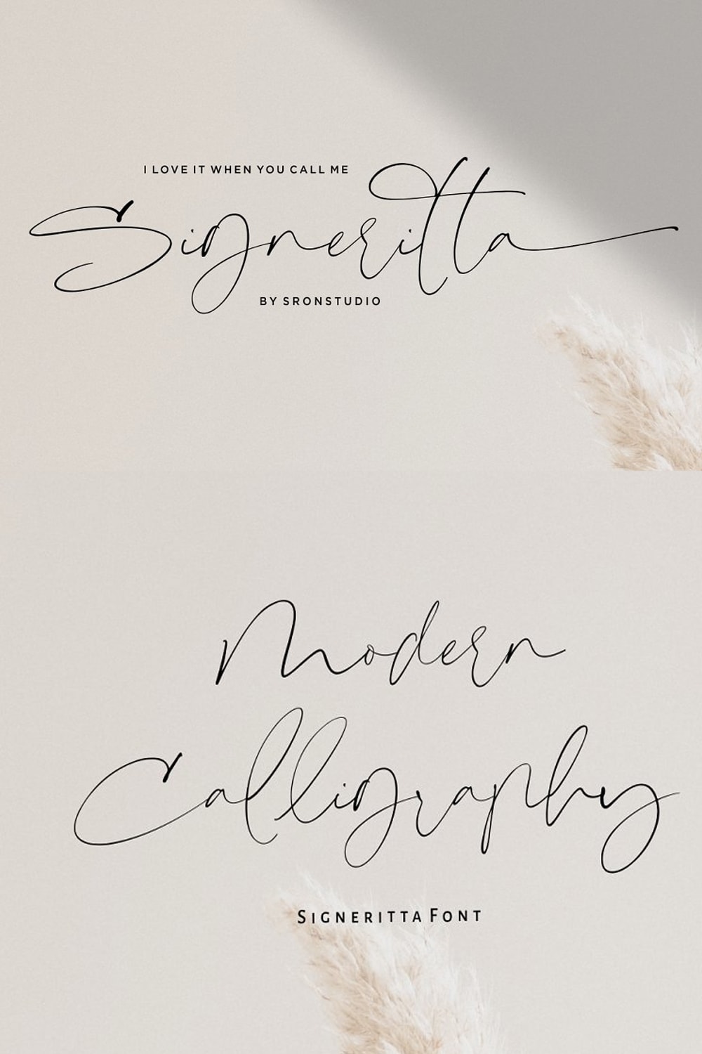 Signeritta Elegant Signature Font Free Script Fonts