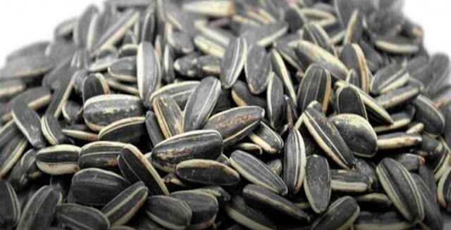 فوائد اللب السوري فوائد اللب السوري