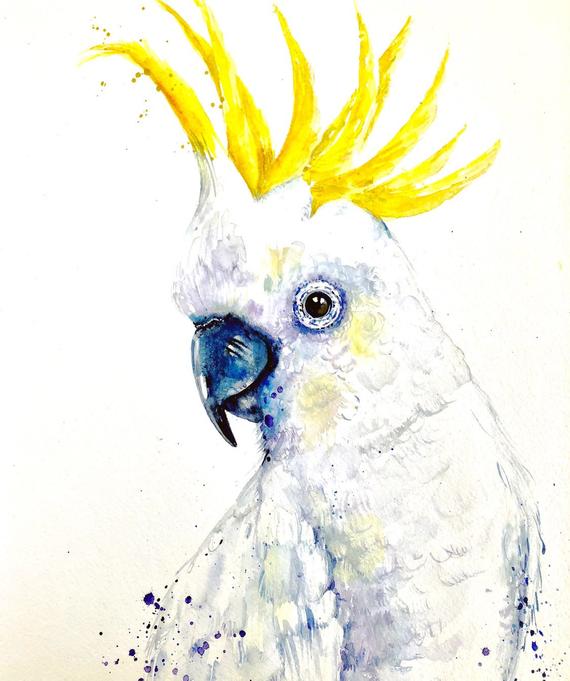 Bird Dog Definition Understanding And How It Works