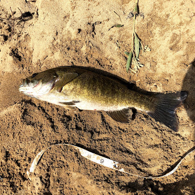 smallmouth bass Pittsburgh