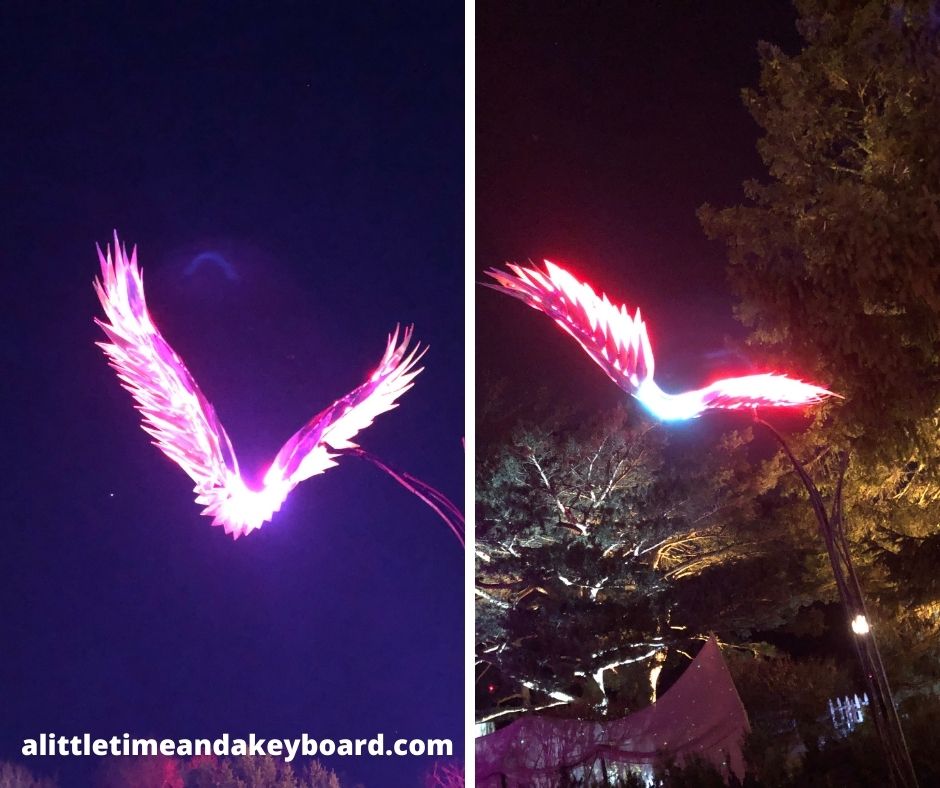 A Little Time and a Keyboard Dazzled By Nature Inspired Holiday Lights